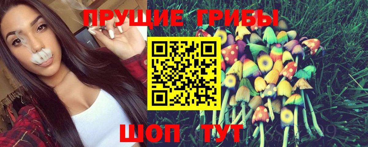 Псилоцибиновые грибы Psilocybe  дарнет шоп  Братск  Вход с VPN 